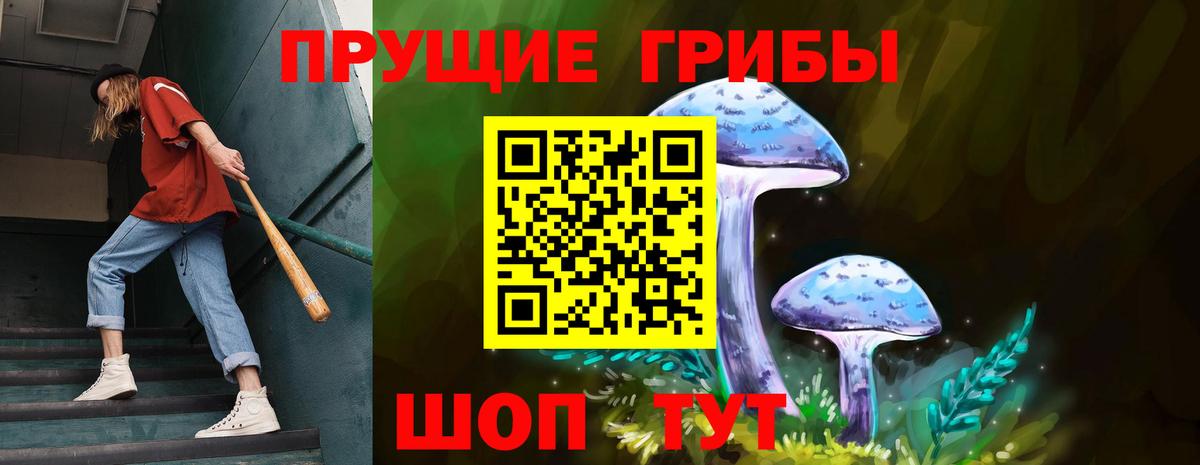 Радужный  Псилоцибиновые грибы прущие грибы  Вход с VPN  где найти   Псилоцибиновые грибы GOLDEN TEACHER 